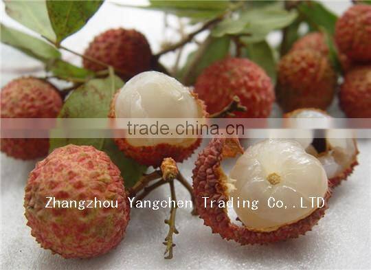 2014 New Crop Canned Fruit with Good Taste Canned Lychees