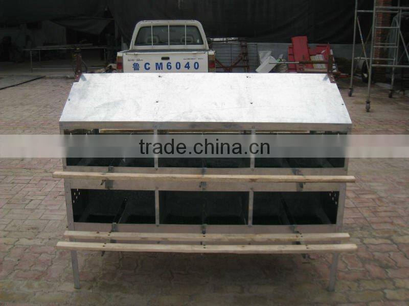 new eggcrate for chickens