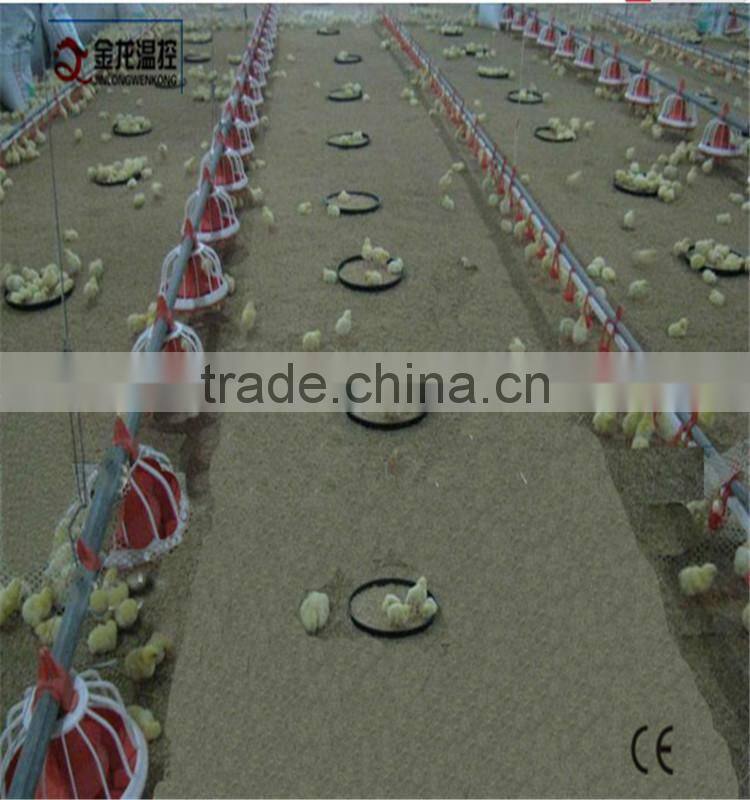 poultry automatic feeding system