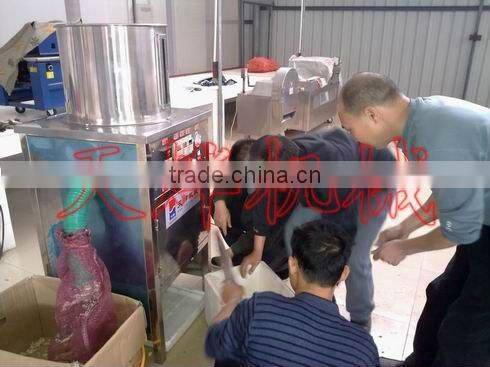 Guangxi Y. L. Vegetable Processing Factory