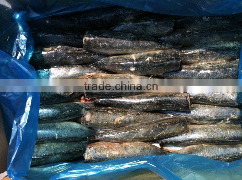 HGT frozen mackerel 100-200g/pc
