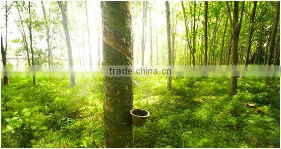 Pocket Coil Spring Mattress Compressed Bed Mattress