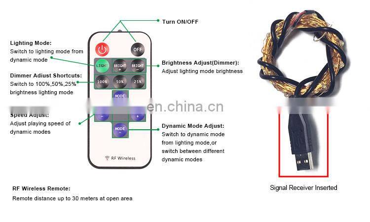 Wholesale Distributors Party Supplies 10M 33FT 100 LEDs 5V USB 12 Keys RF Remote Control White Bulb String Lights