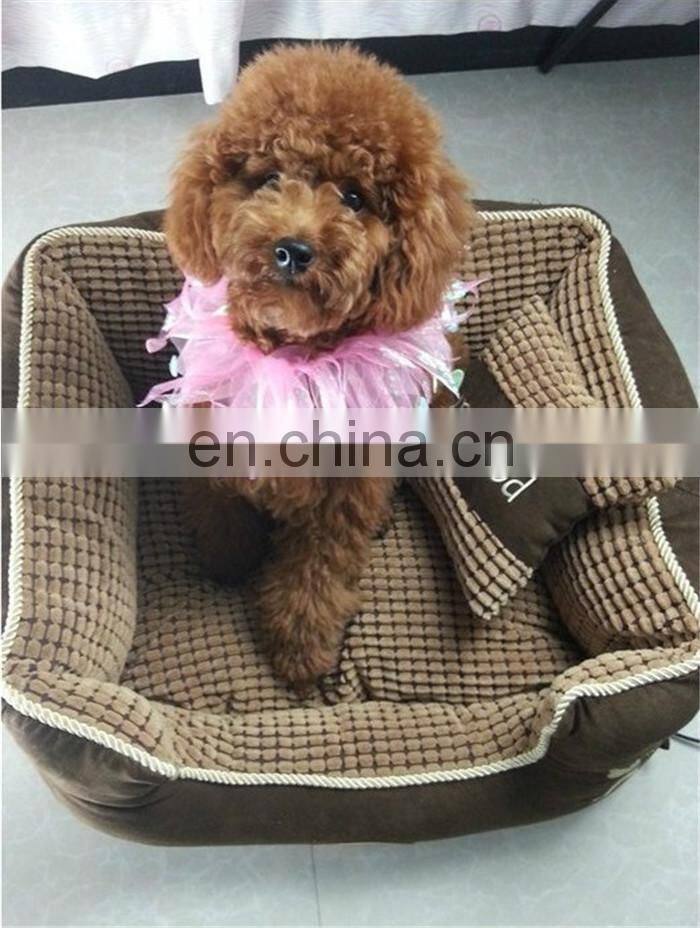 Puppy Pet Dog Cat Collar Bells Party Festival