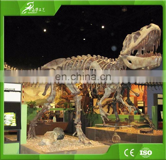 KAWAH Museum Quality Life-Size Realistic Dinosaur Skull For Sale