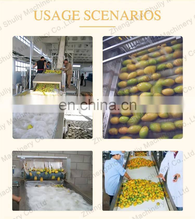 New Design Mango Juicer Production Line Electric Beater Fruit Juice Machine Mango Puree Processing Line