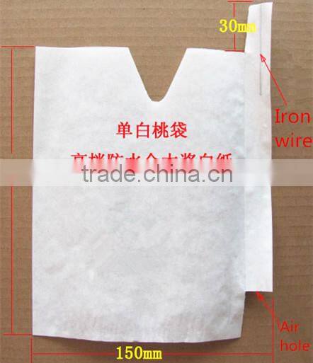 Fruit cover peach bag/kiwi fruit bag/mango bag