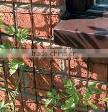 multi-purpose Plastic Netting / Garden Net