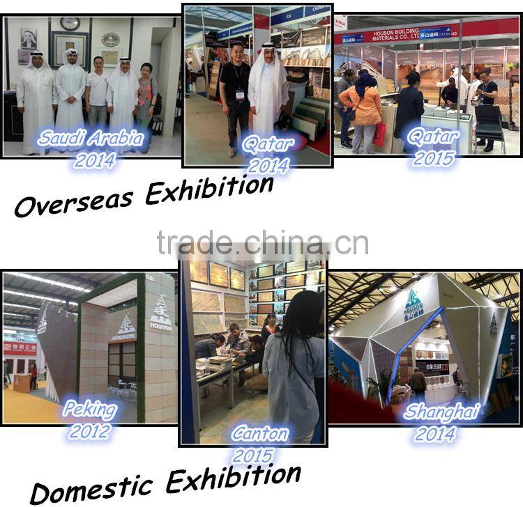 New material invironmental/heat preservation//fire resistant ceramic wall tile