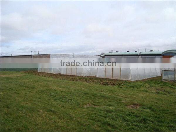 white plastic tunnel greenhouse