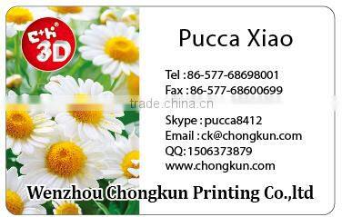 New Popular Customized Plastic vinyl christmas placemats