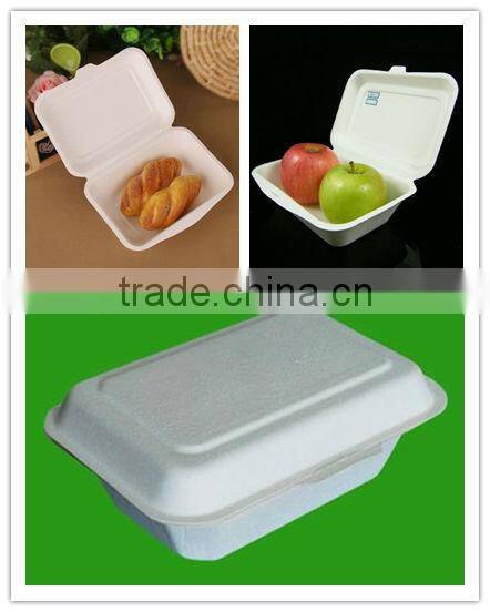 Christmas Kitchen Dinner Dispostable green compostable recycle take away food box