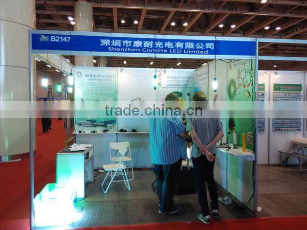 6W CE&ROHS approvaled 12V underwater LED lighting