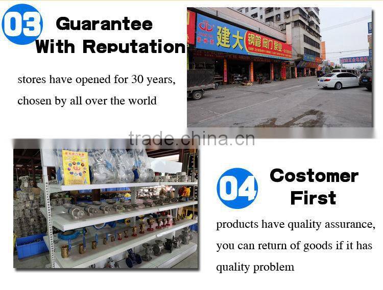 double check valve pvc check valve