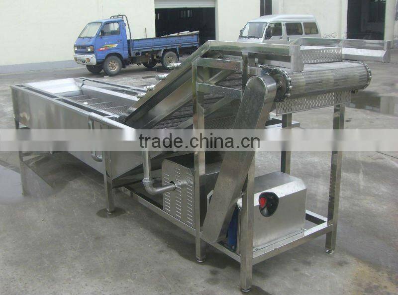 Strawberry processing line