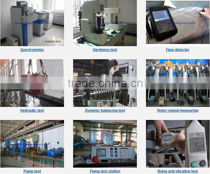API610 OH2 petro chemical pump