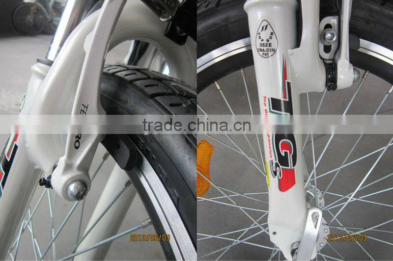 Popular Foldable e-bike XY-EB003F