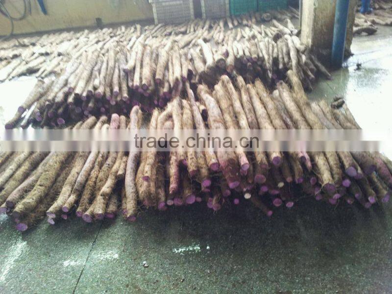 High quality organic Wild Yam with Diosgenin