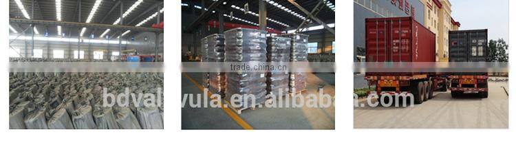 DIN Welding Neck carbon Steel forged Flange supplier