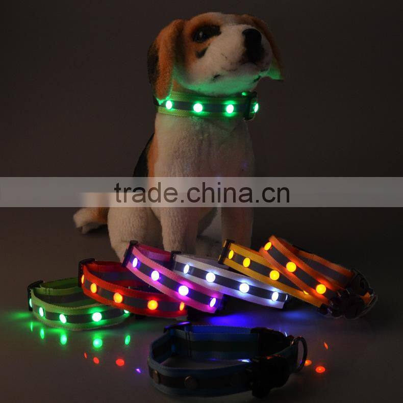 light up you and your pet dog evening dog collar with led lights