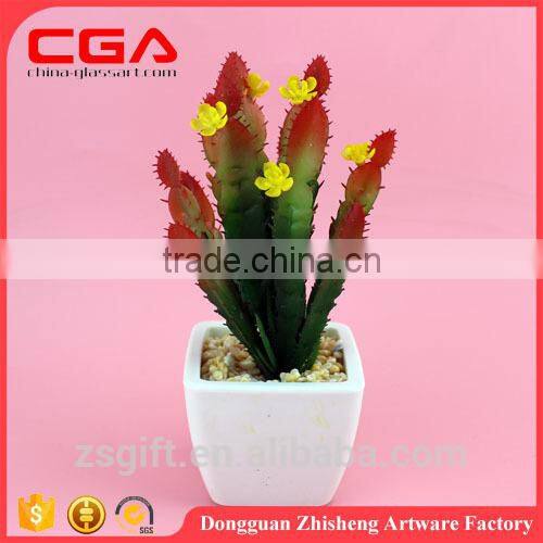 Artificial Artificial succulent plants tropical plants Plastic emulation succulent plant