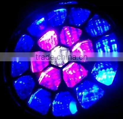 19x15W Bee Eye RGBW 4in1 LED Rotating Beam Zoom DMX Moving Head stage show light