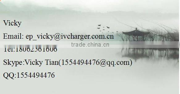 Factory promotional LCD display 12v 3amp lead acid Battery charger