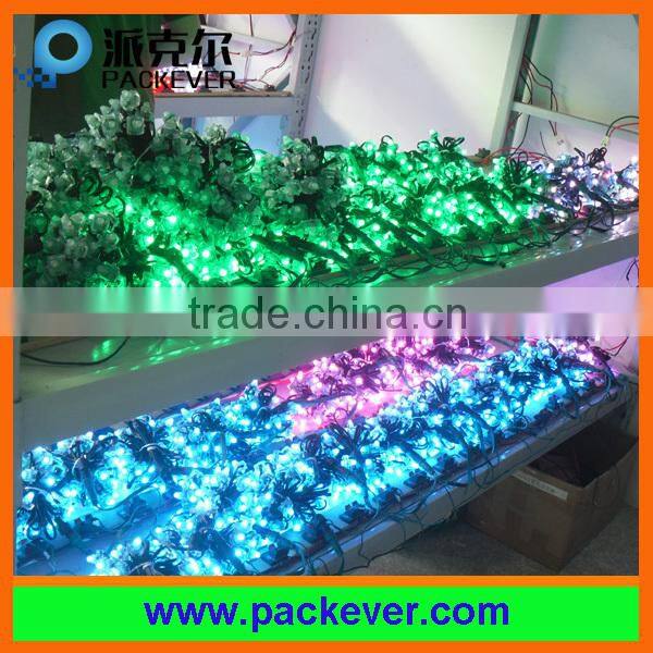 60mm 18LEDs 24V 4.32W programmable UCS2903 RGB point light