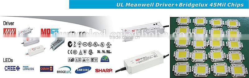 Project LED New LED Flood 50w in Austria with Bridgelux 45mil Chips