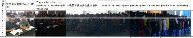2016 High Quality Ornament/Decorations Plating Metal Casting Hardware