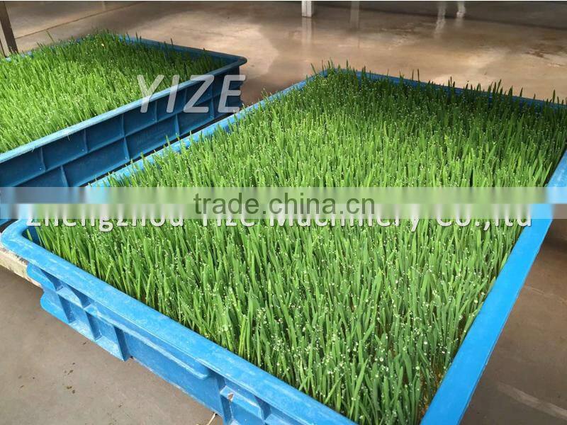 Barley wheat fodder machine, hydroponic seedling fodder machine for rabbit