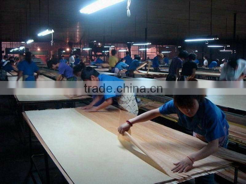 HOT! cheap plywood for sale in linyi
