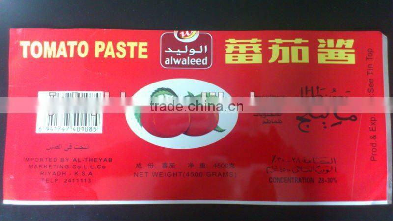 easy open tin plate for canned sardines