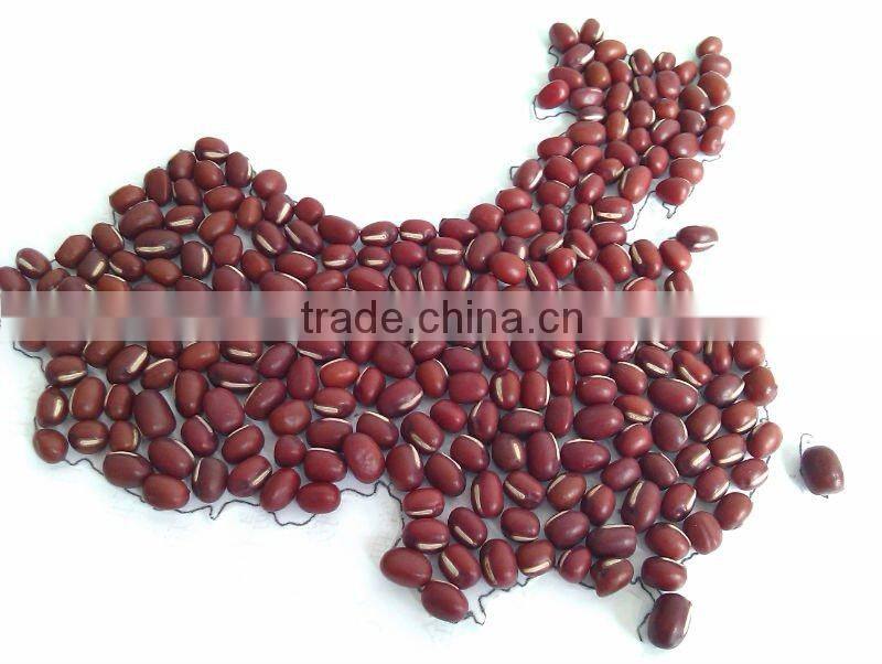 2011 Crop Adzuki Bean