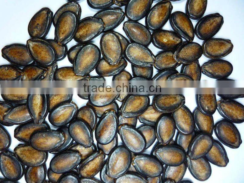 2013 top quality raw material watermelon seeds kernel