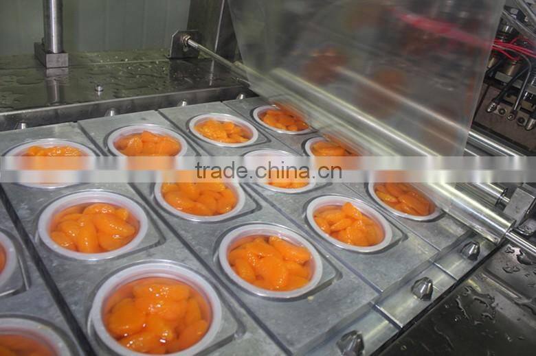 fruit cups top quality mandarin oranges OEM