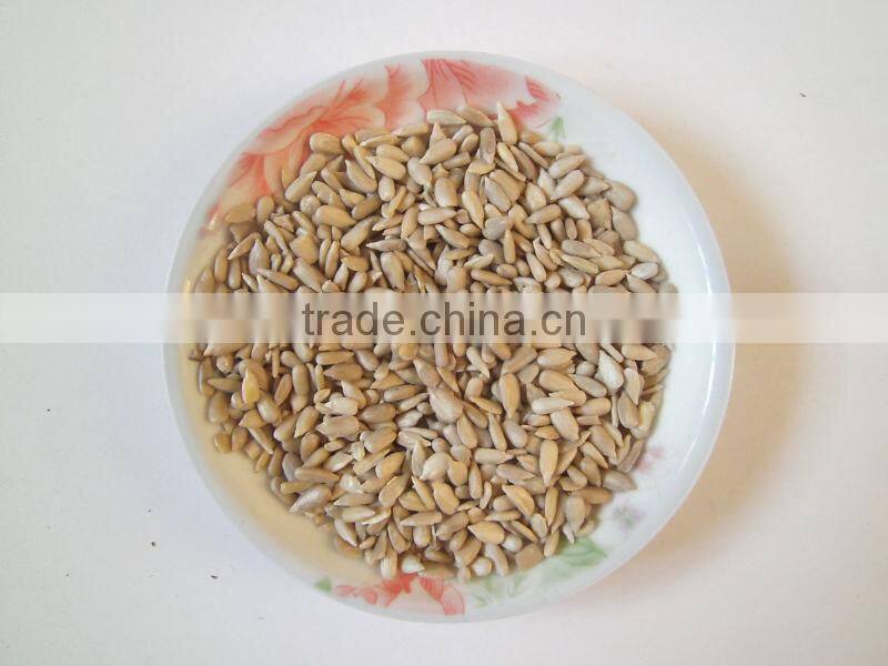 Supply Common Sunflower Seed Kernel