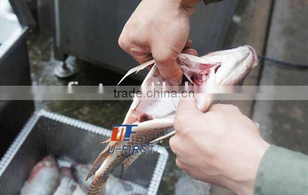 factory price fish gutting machine