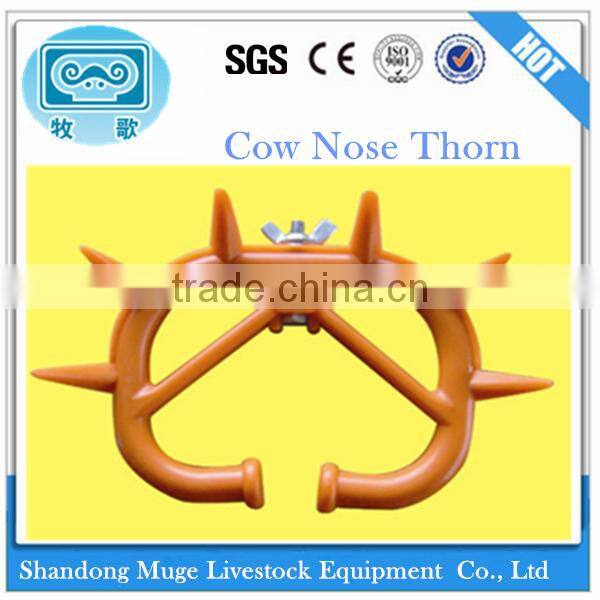Cow Nose Thorn for Calf Ablactation
