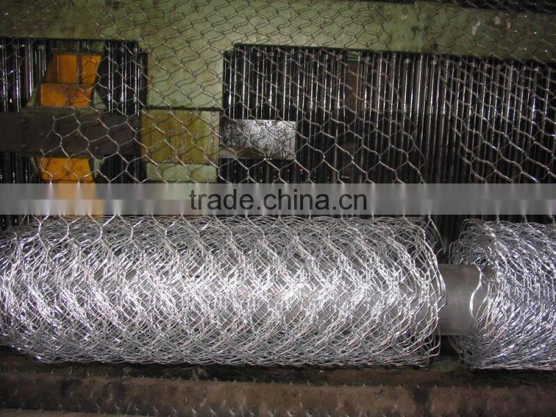 Stainless steel chicken wire rolls/chicken hexagonal mesh roll/hexagonal wire mesh