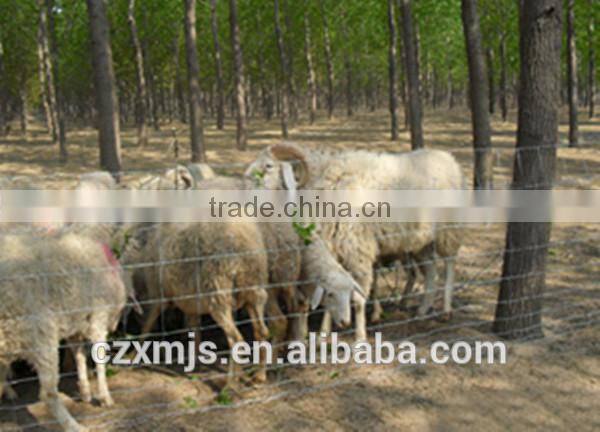 Metal animal farm fence panel, fence animal enclosure fence