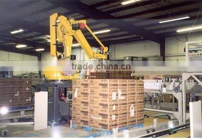 Automatic Carton Packaging Line Including Case Packer