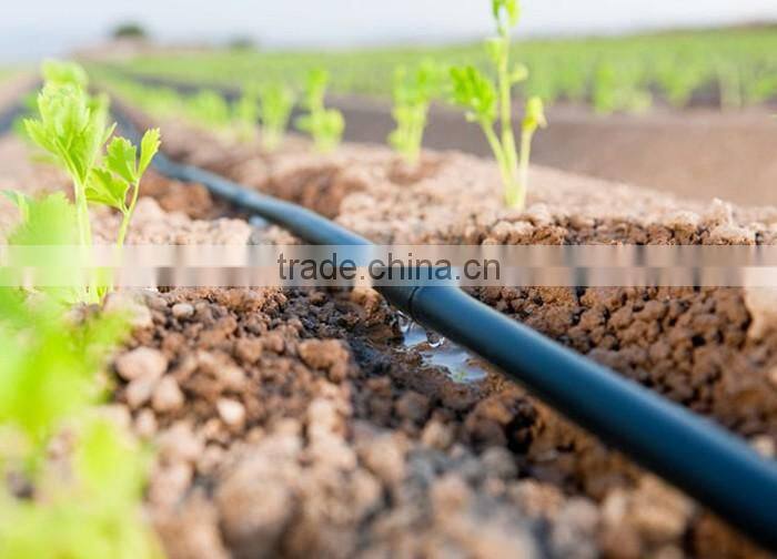 8208 agriculture drip irrigation system integral PE drip line with high quality