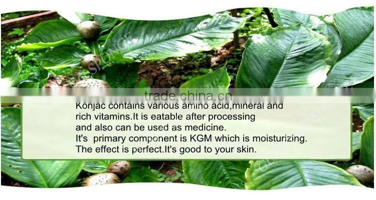 Fcatory Wholesale 100% natural organic Konjac sponge for shower