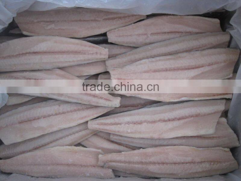 A grade quality frozen spanish mackerel fillets