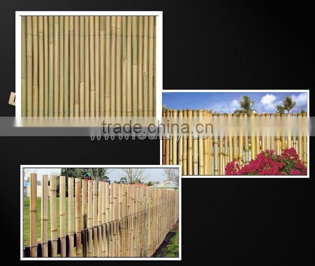 high quality and nature bamboo fence/bamboo fencing/tonkin bamboo fence