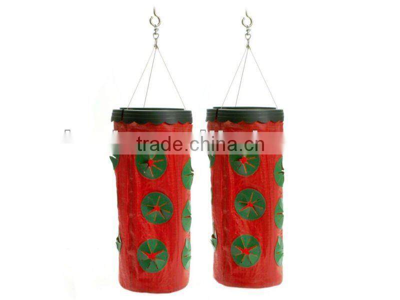 Hanging planter bag for strawberry
