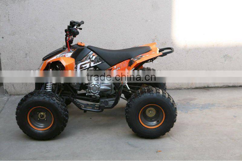 125cc Engine Gas Quads Bike with CE