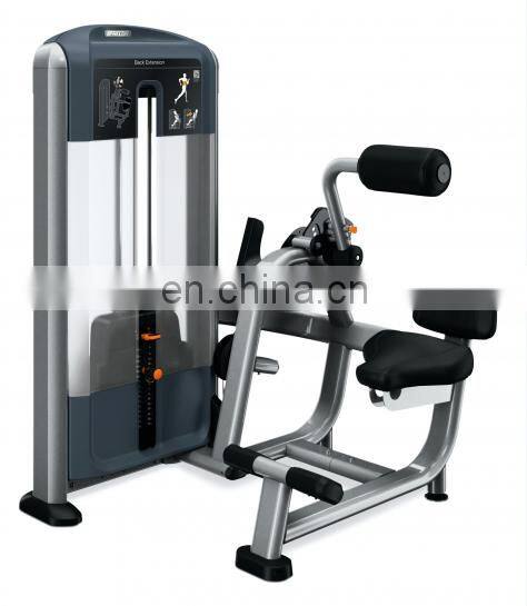 ASJ-DS018 Back Extension machine fitness equipment machine commercial gym equipment