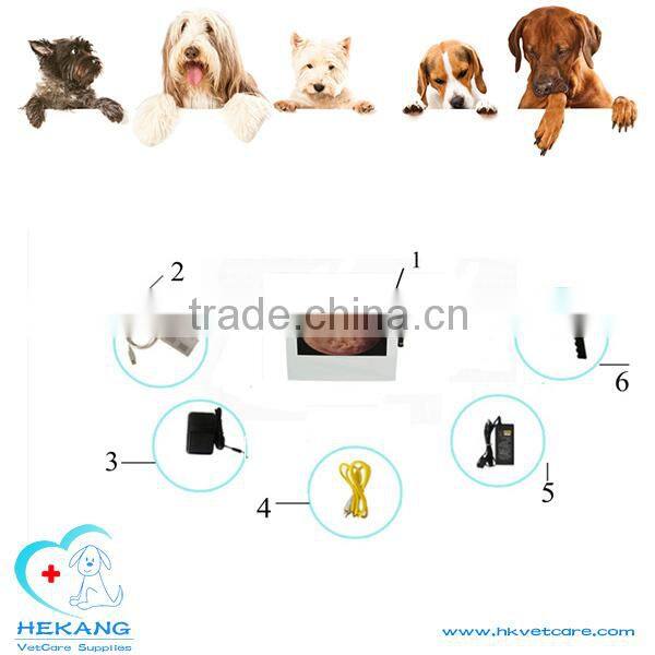medical veterinary otoscope for pet